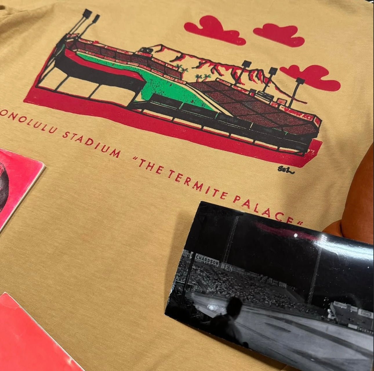 Old Queen Street Stadium × Solario Termite Palace T-shirt