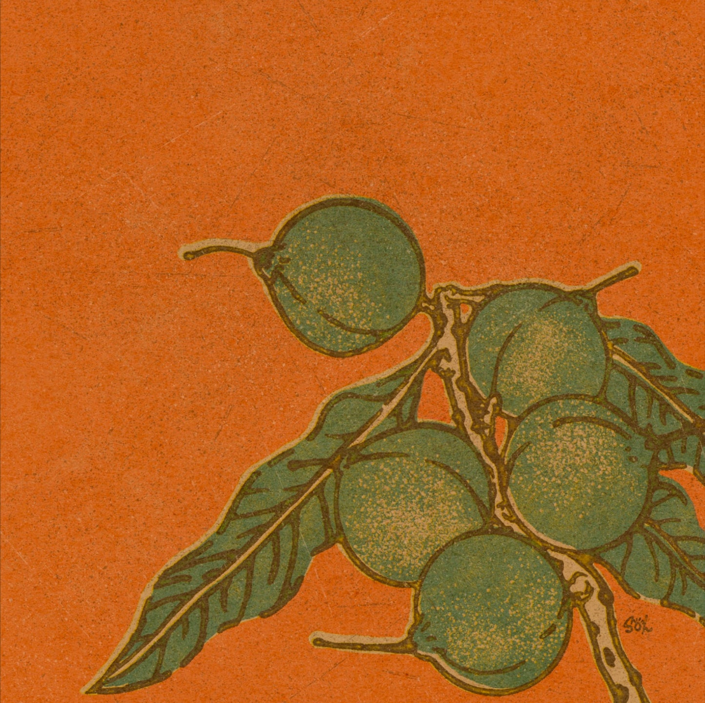 Waiwai 'Āina Series 1 - "Nā Hua 'Eha (Four Fruits)” Giclée Art Prints