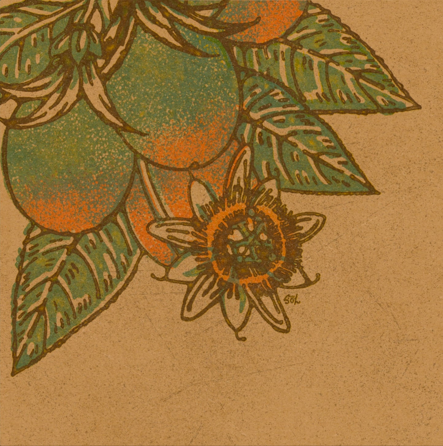 Waiwai 'Āina Series 1 - "Nā Hua 'Eha (Four Fruits)” Giclée Art Prints